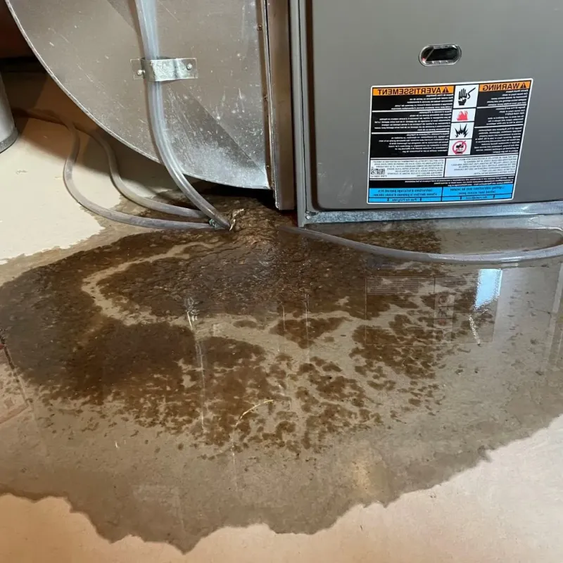 Pipe Burst and Leak Restoration in Brundidge, AL
