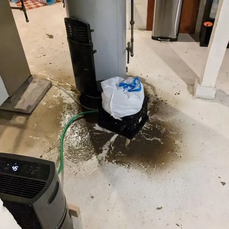 Sewage Backup Cleanup Service in Brundidge, AL